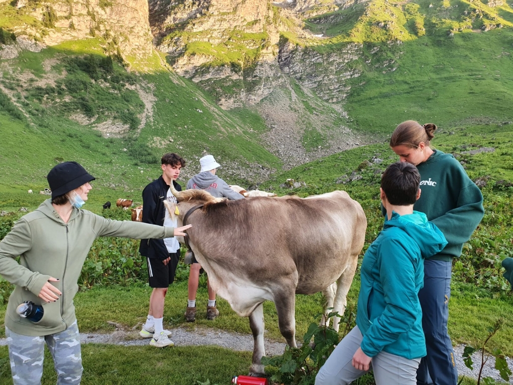 Village Camps International Summer Camp Leysin, Switzerland 2025-08-09 https://www.villagecamps.com/journals_admin/images/2394-2488-250721  (32).jpg